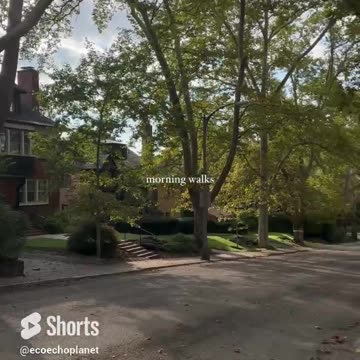 ASMR Street View in Morning Walks Vol 148 #echoplanet