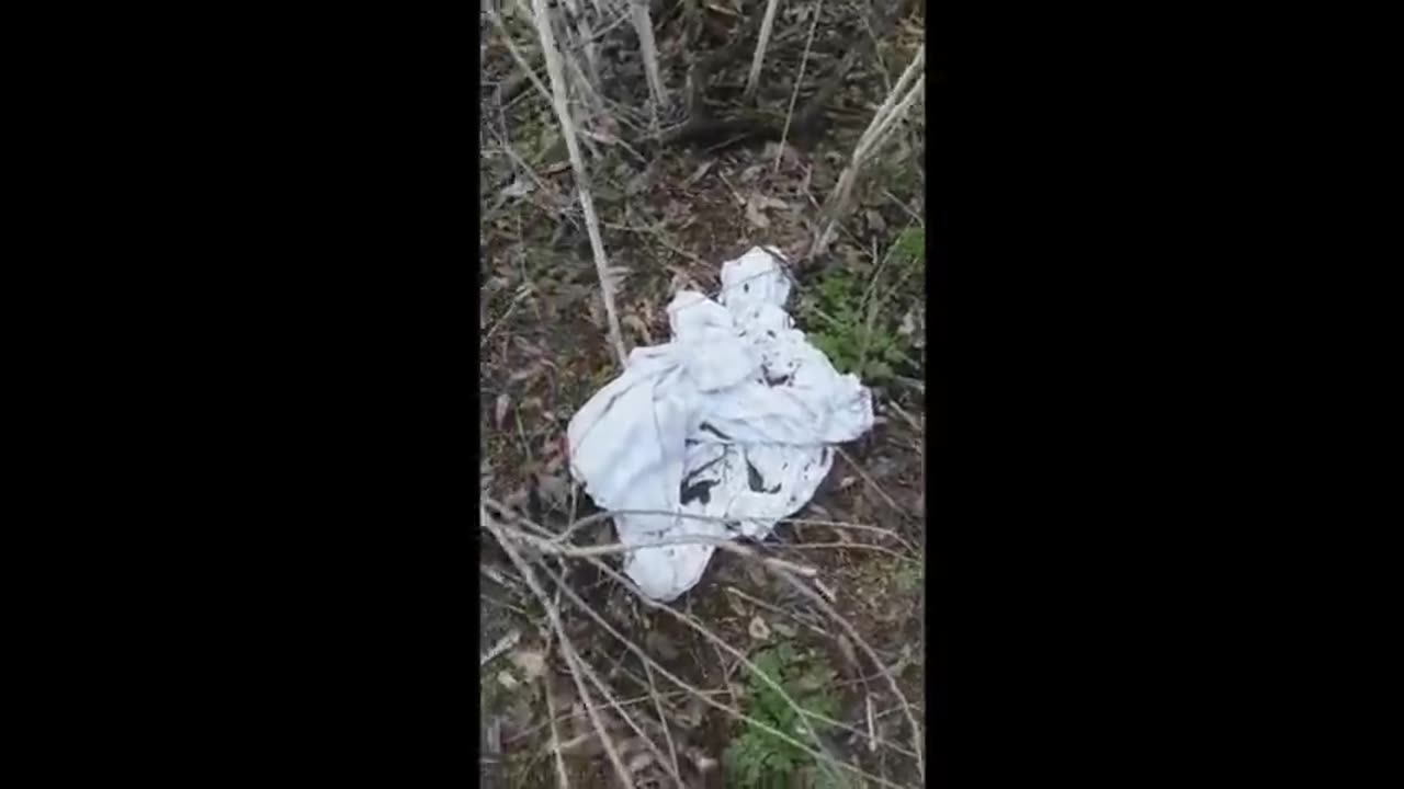 RAPE TREES, UNDERWEAR TREES, SHOE TREES, (THE FOOTAGE NOT AIRED ON HANNITY)