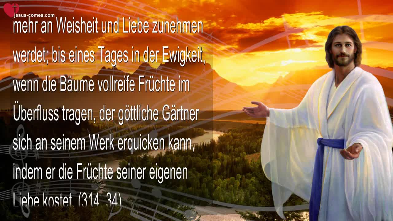 Rhema 07.10.2022 ❤️ Ich bereite das Tal für das universelle Gericht...Meine Liebe wird euch vereinen
