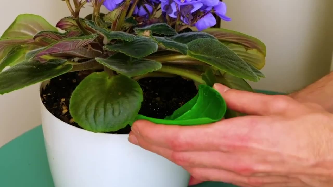 5 AMAZING RECYCLING PROJECTS AND CRAFTS TO BRIGHTEN UP YOUR HOME