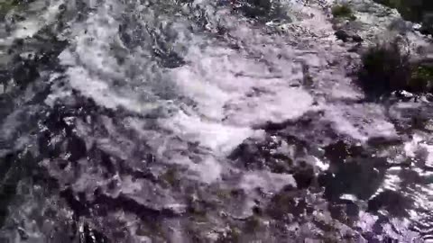 Beauty of Nature part 4
