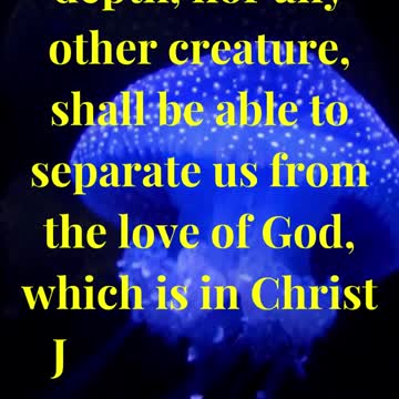 Nor height, nor depth, nor any other creature, shall be able to separate us from the love of God