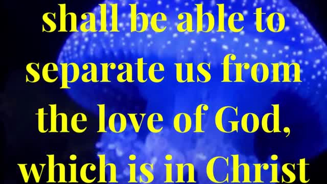 Nor height, nor depth, nor any other creature, shall be able to separate us from the love of God