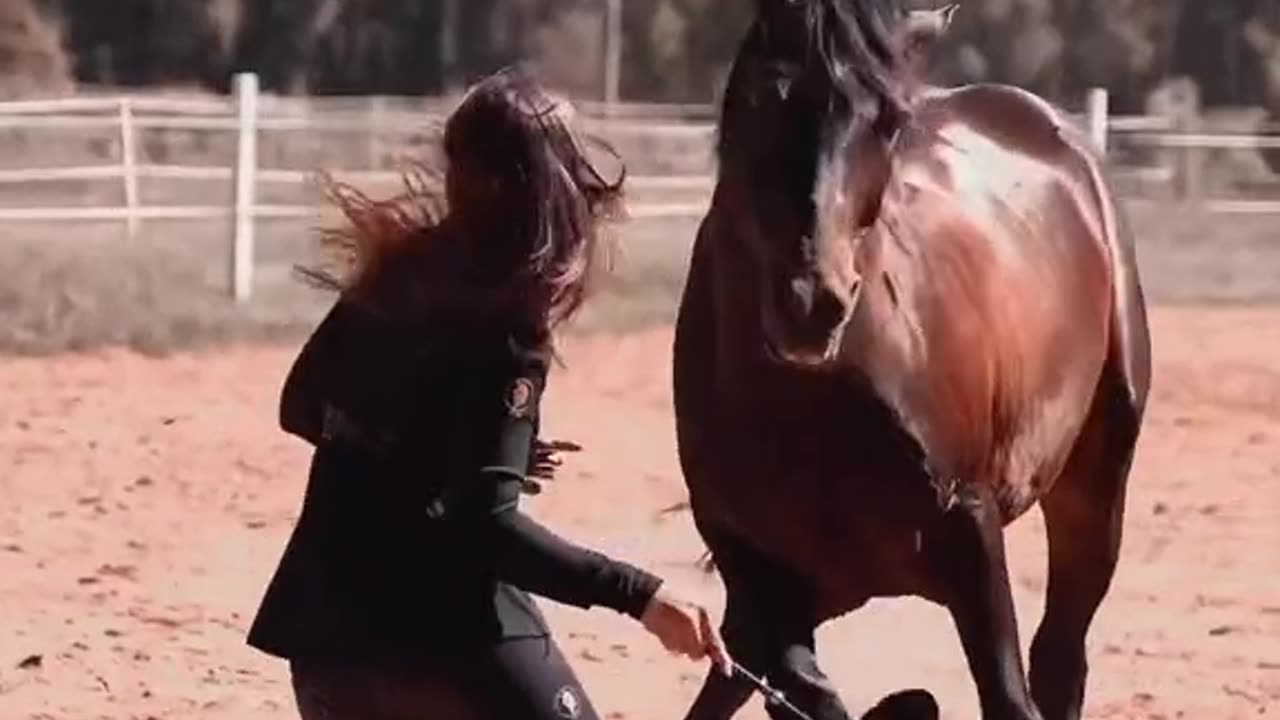 funny video , horse dancing , lady horse riding