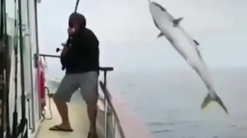 This is a beautiful and charming water-dwelling species