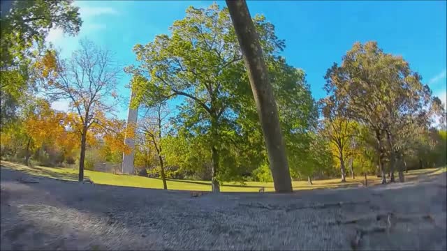 Rest Stop