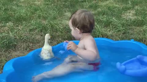 The funniest baby videos on the internet