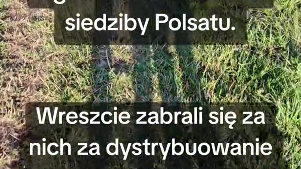 Mem w nawiązaniu do ostatnich wydarzeń polsatowych