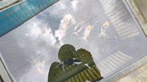 Best quality goldfish collection at goldfish farm-6