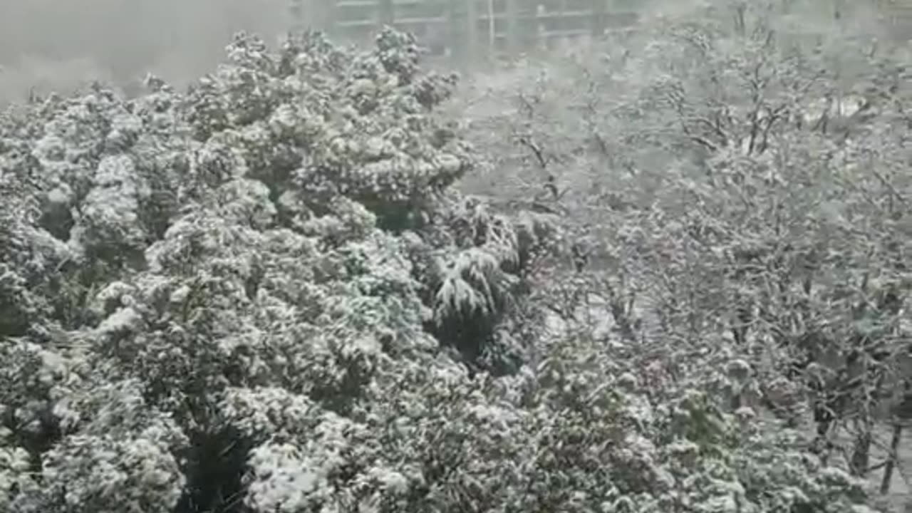 Snow fall in Nanjing China