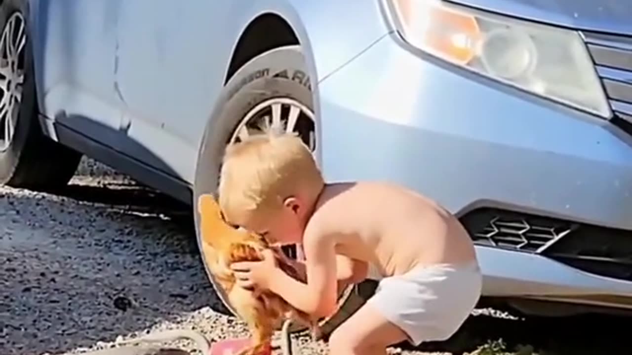 Funny Video for an Entertainment and Relaxation...😁😆😅🤣😂