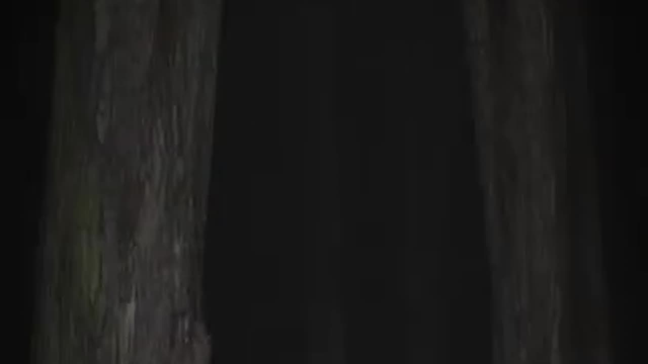 Not Alone