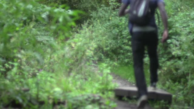 man | forest 3 raw