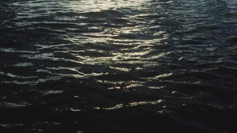 Nicolas Ghesquière’s Pre-Fall