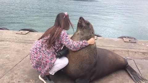 the cuteness of the sea lion brother.