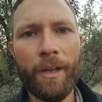 是否应该释放布兰妮格林纳？（WarningThePeople）Should Brittney Griner be Released?