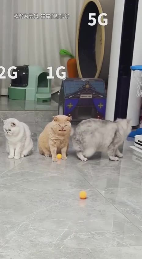 5G very good speed 😂