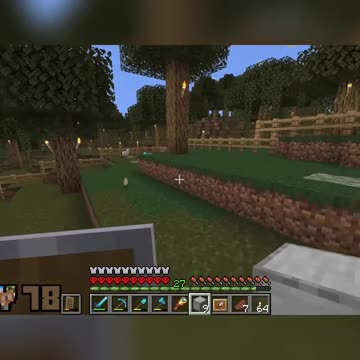 Saying Goodbye: A Heartfelt Tribute to My Feline Friend