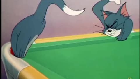 Tom And Jerry World Best Funny Cartoon 😎