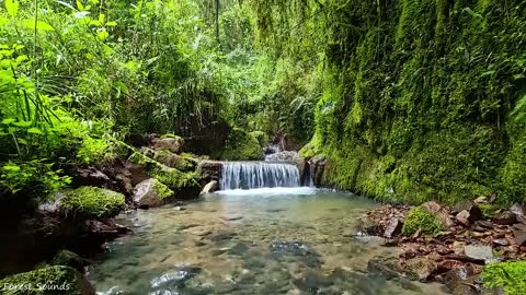 10 Hours of Rain Sound Relaxation Ultimate Stress Relief, Deep Sleep, Meditation, and Yoga.