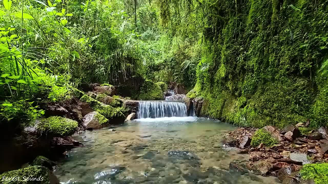 10 Hours of Rain Sound Relaxation Ultimate Stress Relief, Deep Sleep, Meditation, and Yoga.