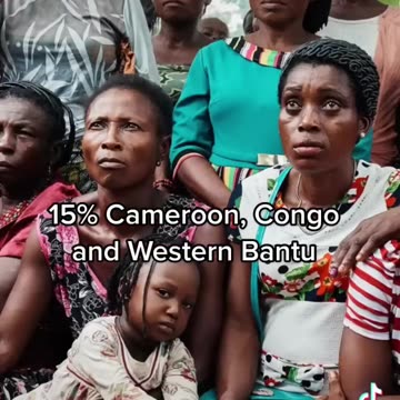 Ancestry DNA: results as an African American