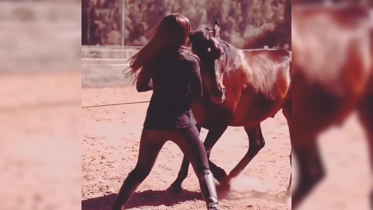 Attitude Girl And Horse