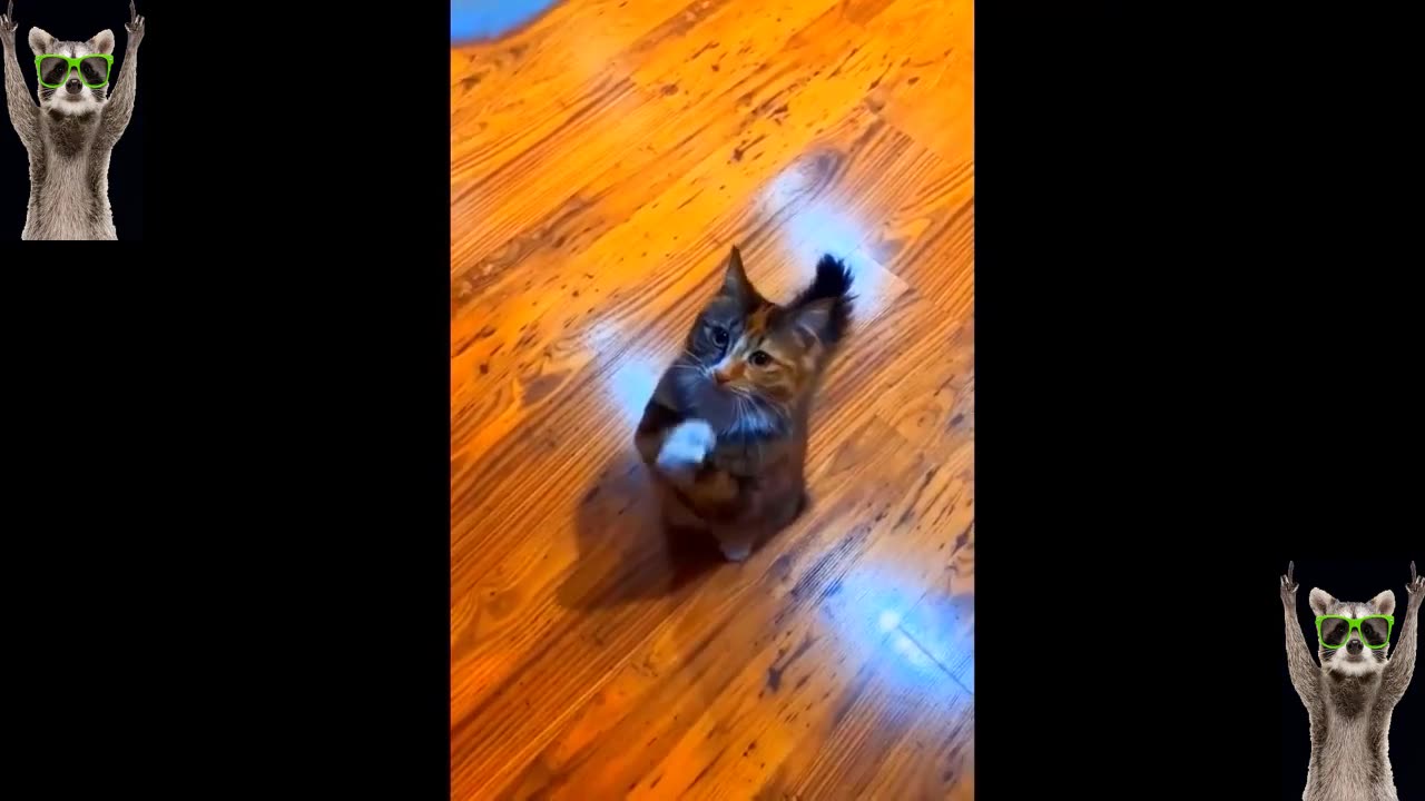 Funniest Cats And Dogs Videos 😂 - Best Funny Animal Videos 2023 😅