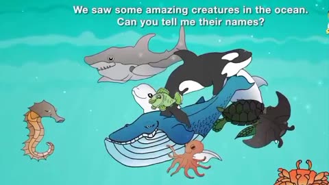 What live in the ocean 🌊💦??