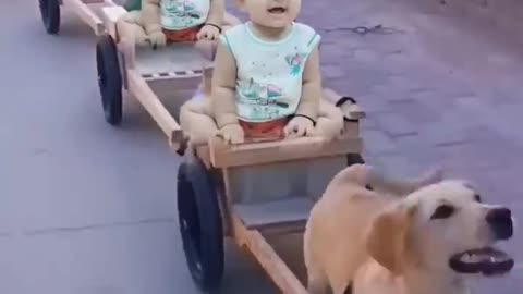 Cycle baby and dog