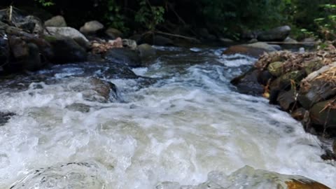 Water falls in assam