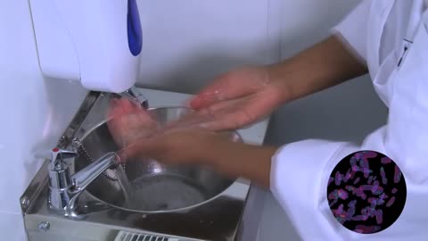 Food safety coaching (Part 1)- Handwashing