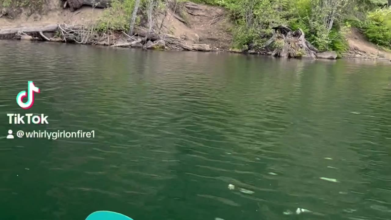 Kayak and live life