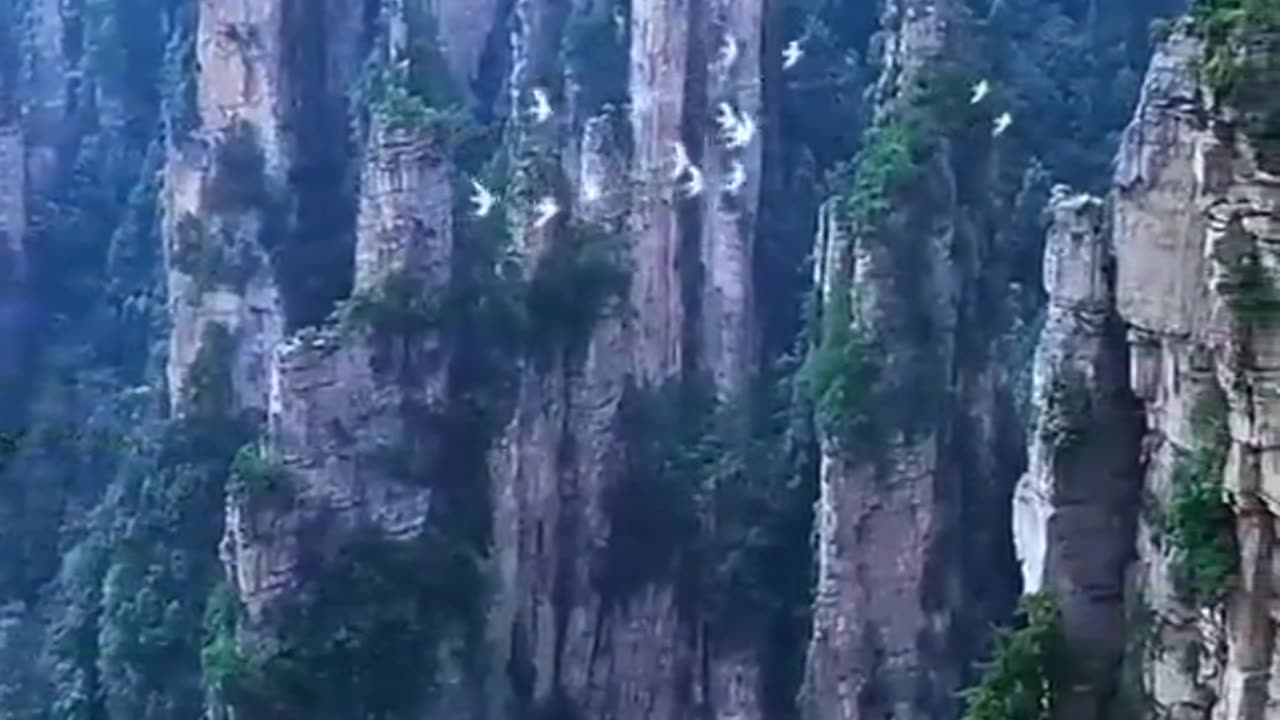 Waterfall views worldwide