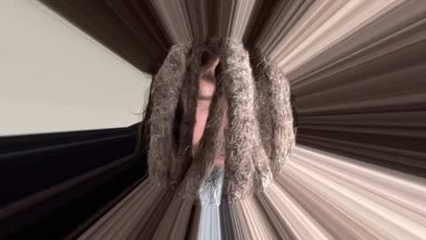 the official video autobiography of the universe