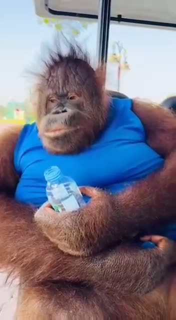 Reminder to always stay hydrated 😊