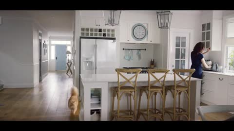 Heritage Bank 'Cats first' Fat Cats 30 sec TV/Online