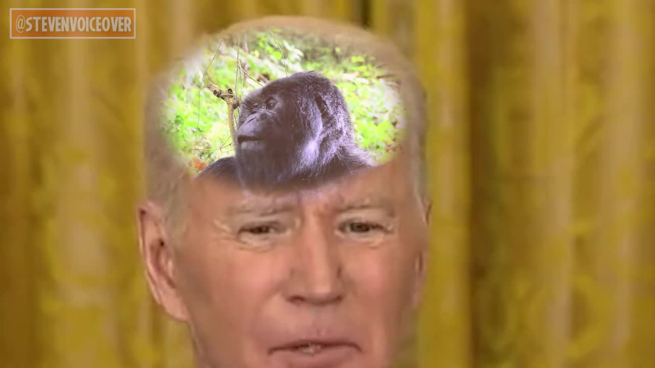 Biden Brain Freeze Episode 14