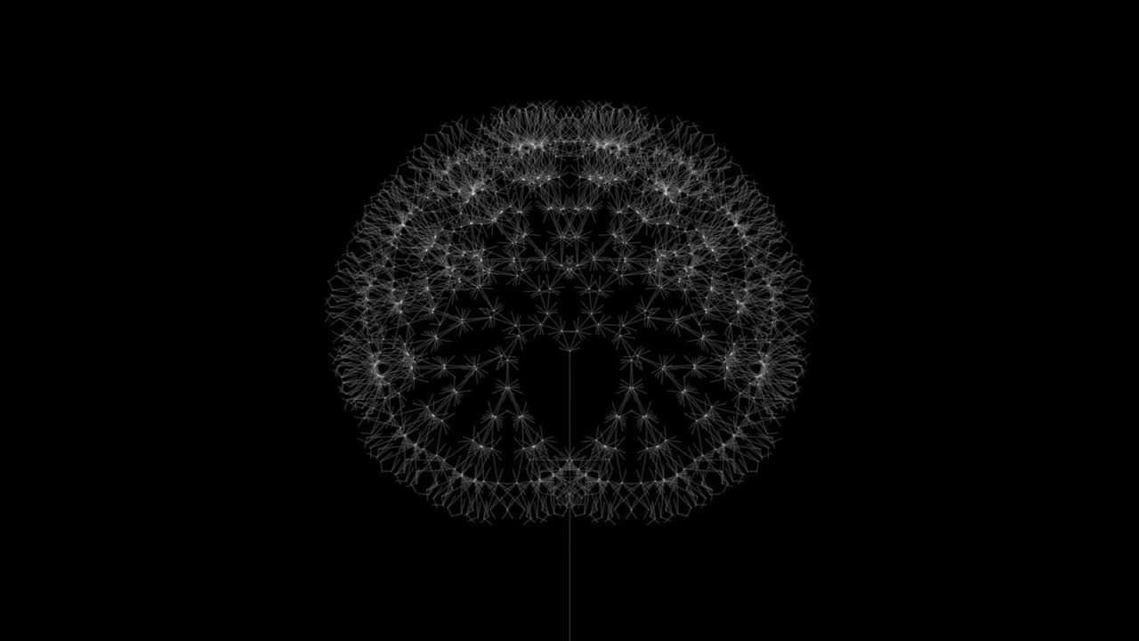 Life of a Dandelion