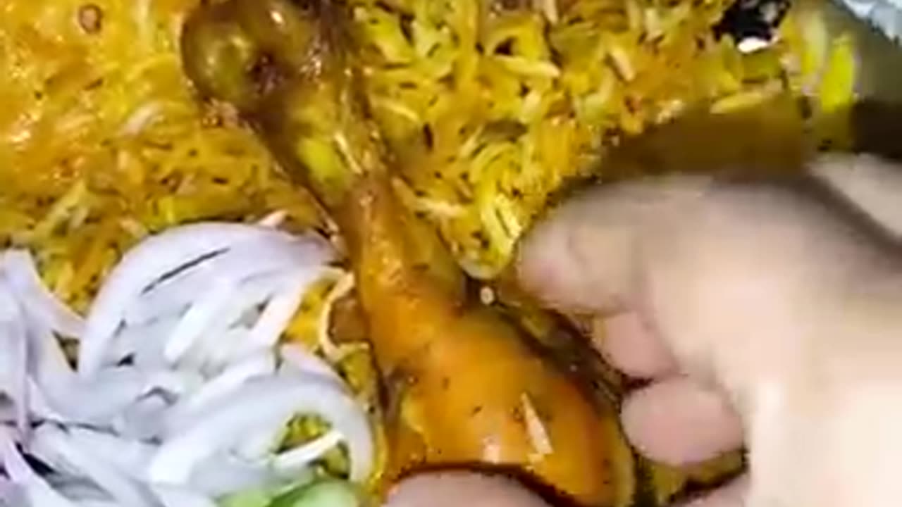 Mazedar biryani