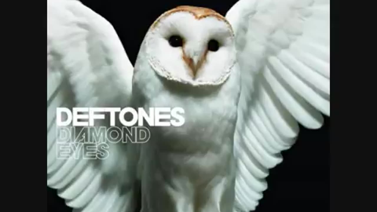 deftones - Risk