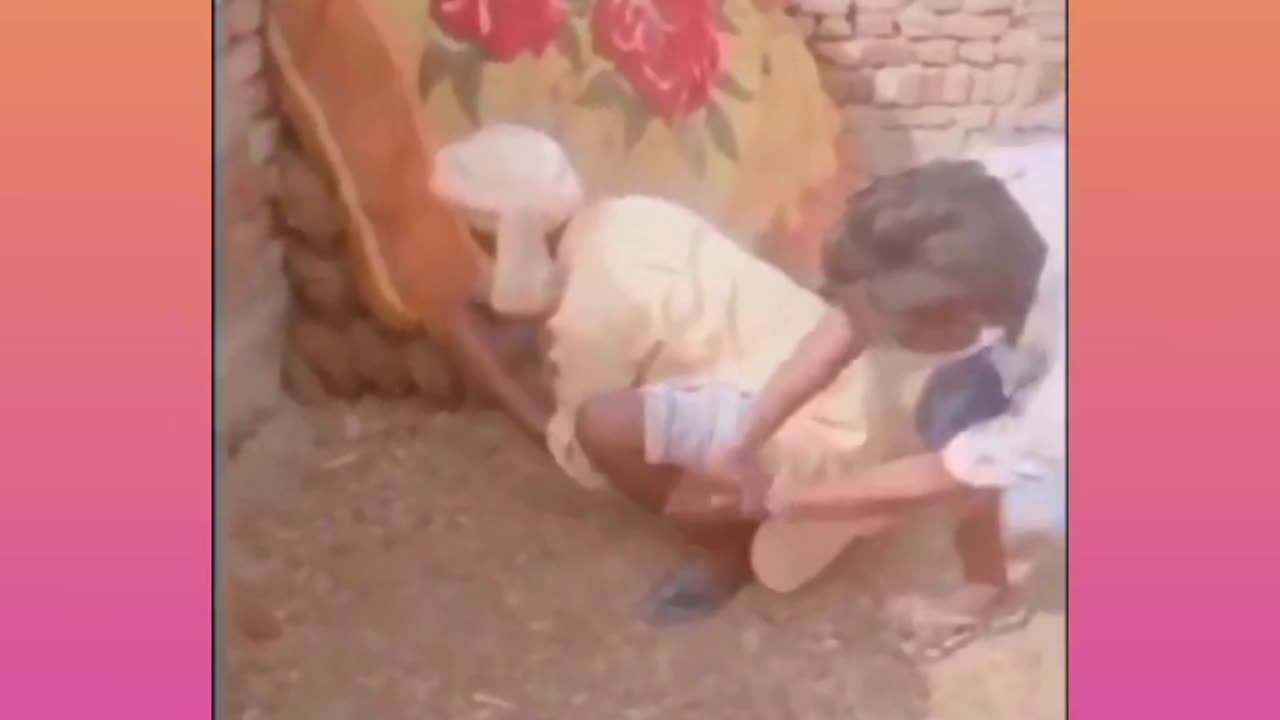 Snake Charmer Funny video