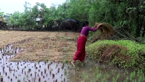 Nepal floods and landslides kill dozens