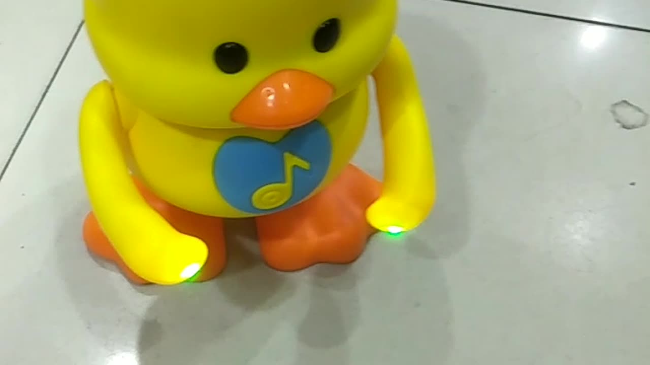 The Duck