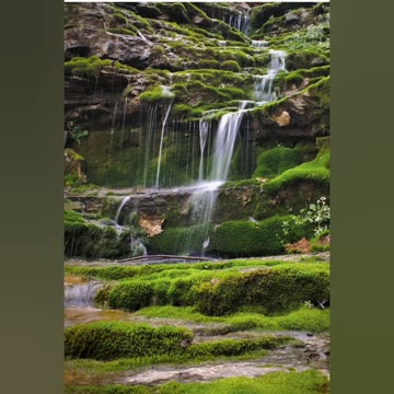 Nature beauty photography with nature peaceful song🍃🍃🍃