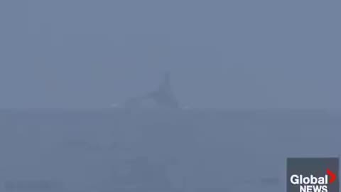 The Chinese destroyer deliberately almost collided with the American destroyer...