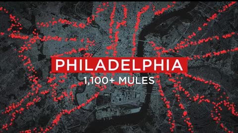 2000 Mules