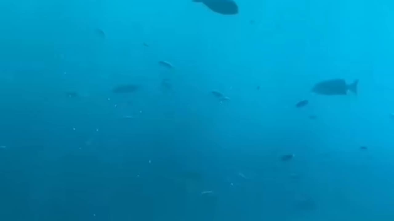 Sea Bedroom