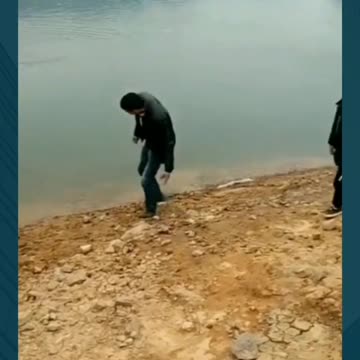 Laughs Guaranteed: The Ultimate Collection of Funny Videos | Most Funny Videos | Funny Fails