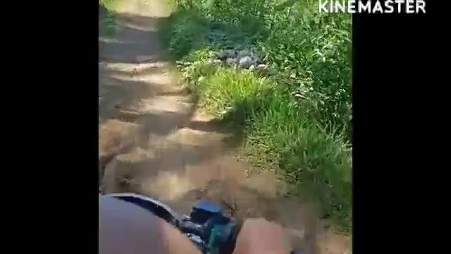 BOHOL 2022